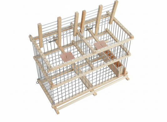 Humane Dual-Compartment Bird Trap with Call Bird Cage – Safe Live Capture for Lost or Escaped Birds