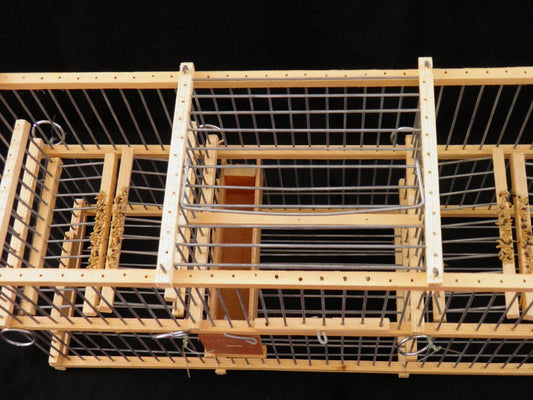Double Trap Cage for Birds – Humane, Non-Stop Catching System | Safe & Durable
