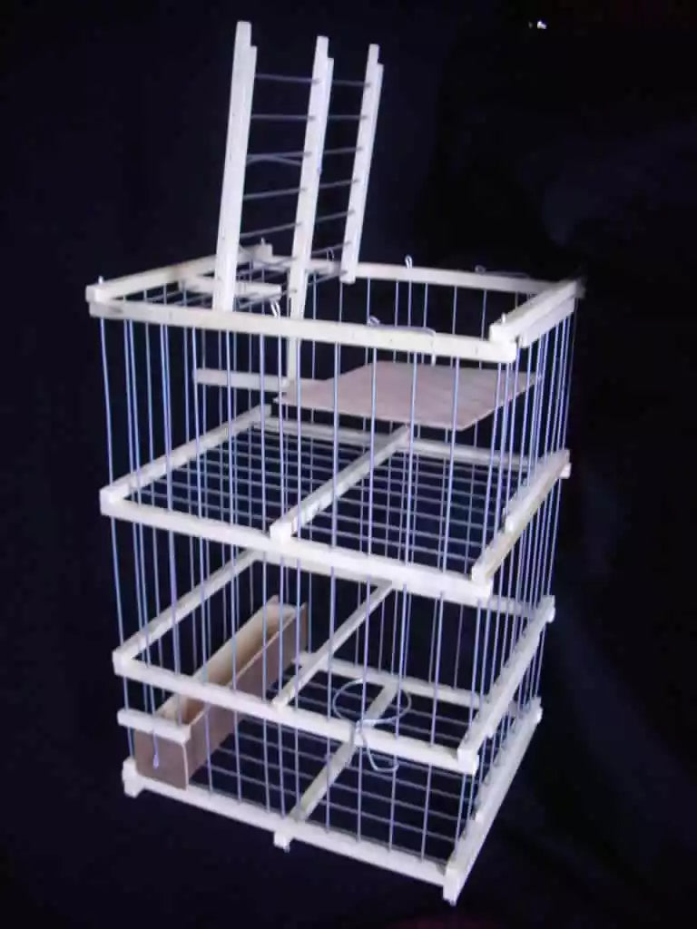 Large Bird Trap Cage with Call Bird Compartment – Ideal for Parrots, Pigeons & More