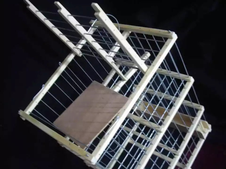 Large Bird Trap Cage with Call Bird Compartment – Ideal for Parrots, Pigeons & More